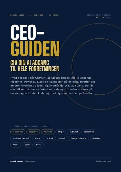 CEO-guiden — Giv din AI adgang til hele forretningen