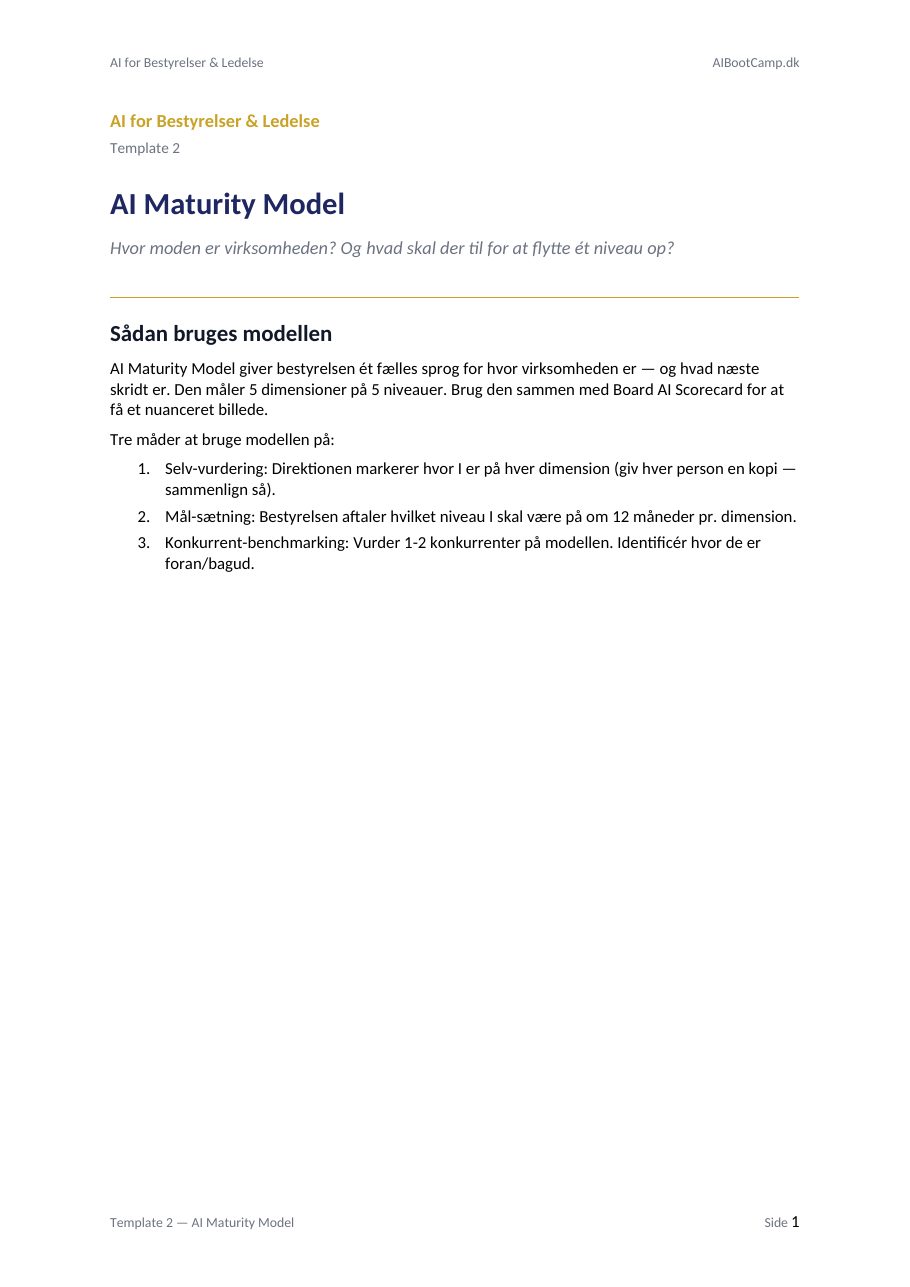 AI Maturity Model — preview