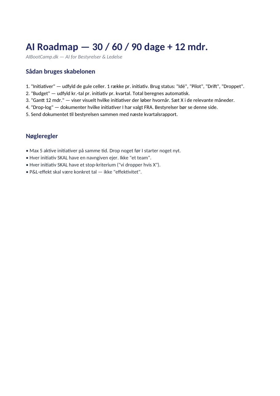 AI Roadmap Skabelon — preview